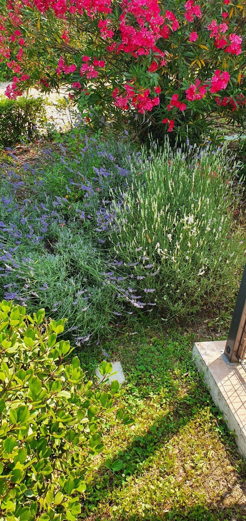 B&B Villa Maria Terni Eksteriør billede