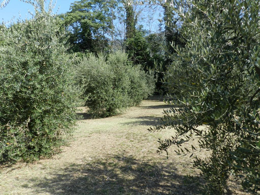 B&B Villa Maria Terni Værelse billede