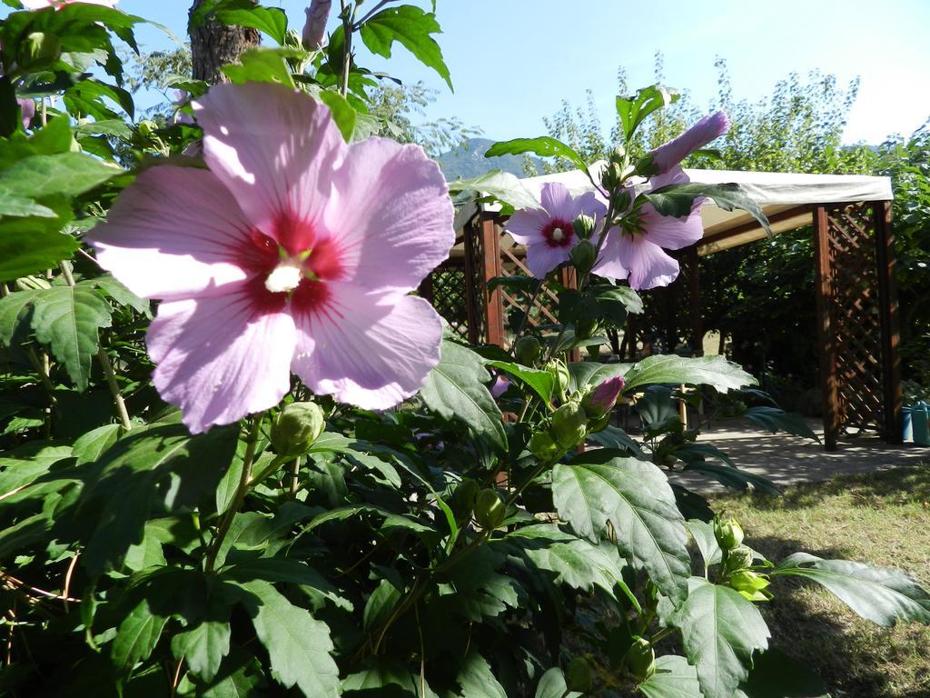 B&B Villa Maria Terni Eksteriør billede